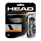 Head Perfect Power